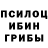 Псилоцибиновые грибы прущие грибы Alina Volos